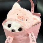 Avatar of Tooba Qamar